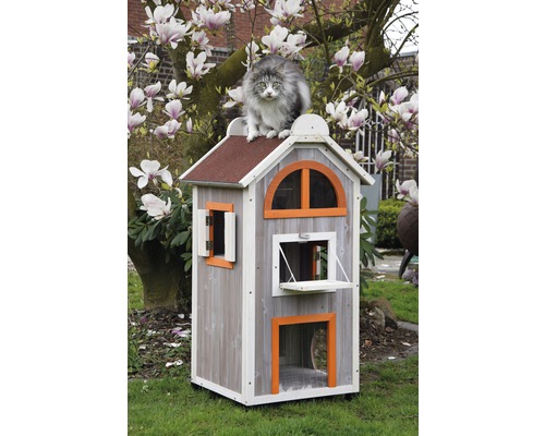 Chat sur une maison pour chats à trois étages dans le jardin