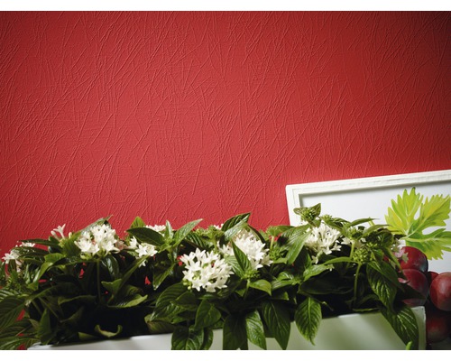 Gros plan d''un papier peint intissé rouge avec une structure d''enduit gratté, décoré d''une plante en pot et d''une photo