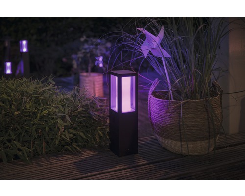Scène avec luminaires de jardin, jardinière et moulin à vent sur une terrasse en bois