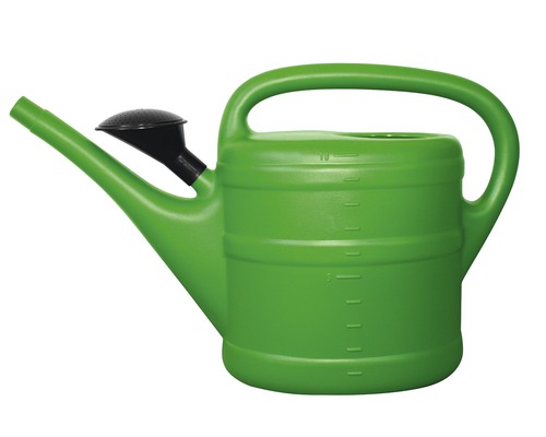 Arrosoir vert avec pomme d''arrosage noire