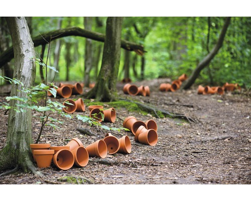 Scène en forêt avec plusieurs pots de fleurs en terre cuite renversés sur le sol