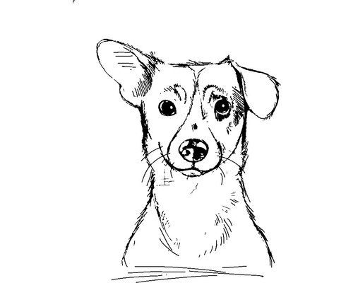 Skizze eines Hundes