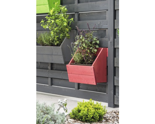 Jardin avec mur en bois et jardinières murales plantées