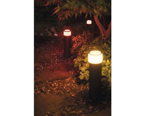 Chemin de jardin éclairé avec plusieurs bornes lumineuses entre les plantes