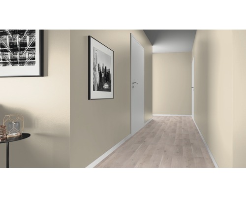 Flur mit Türen, Laminatboden und Wandfarbe