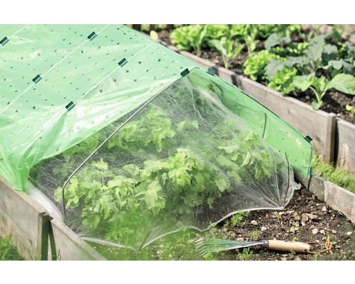 Gemüsebeet mit Frühbeetabdeckung und kleinem Rechen