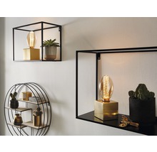 Décoration murale avec étagères métalliques, ampoules rétro et plantes d''intérieur