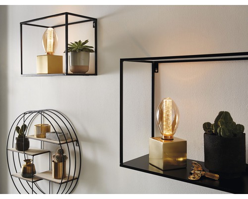 Wanddekoration mit Metallregalen, Retro-Glühbirnen und Zimmerpflanzen