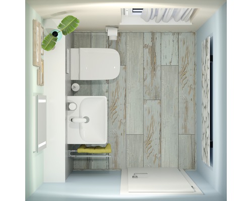 Vue de dessus d''une salle de bains avec toilettes, lavabo, miroir, parquet et douche