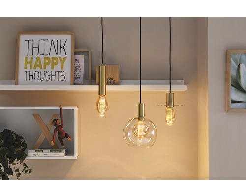 Drei Pendelleuchten mit goldenen Details und unterschiedlichen Glühbirnenformen hängen in einem dekorativen Raum.