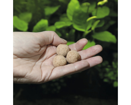 Main tenant des boules d''engrais pour plantes d''aquarium