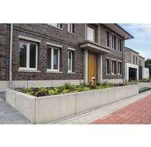 L-Stein Winkelstein Sichtbeton bewehrt grau 100 x 12 x 55 cm Fusstiefe = 30 cm