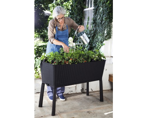 Jardinière surélevée sur pilotis KETER Easy growing 114 x 49.3 x 75.7 cm anthracite