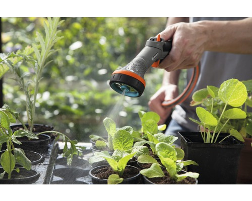 Arrosage de jardin avec un pistolet d''arrosage pour les semis en pots.