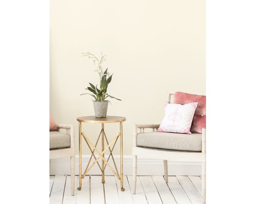 Scène avec table d''appoint, plante en pot et deux chaises avec coussins