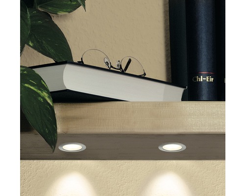 Holzregal mit Einbaustrahlern, Büchern, Brille und Pflanze