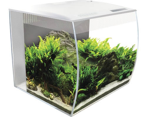 Aquarium FLUVAL Flex 34 l avec éclairage, filtre et télécommande sans meuble bas blanc