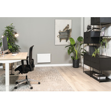 Modernes Büro mit Schreibtisch, Bürostuhl, Regal, Zimmerpflanzen und Wandheizung