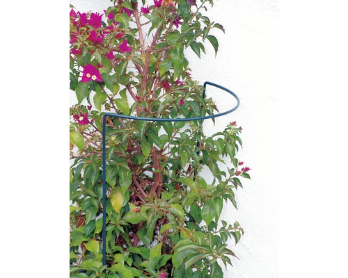 Tuteur d'arbustes Lafiora métal 100 x 40 cm vert, support de plantes vivaces, support pour plantes hautes