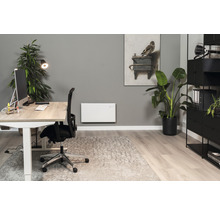 Büro mit Schreibtisch, Bürostuhl, Heizkörper, Pflanze und Regal