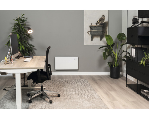 Büro mit Schreibtisch, Bürostuhl, Heizkörper, Pflanze und Regal