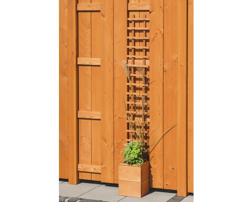 Clôture en bois avec treillis et jardinière