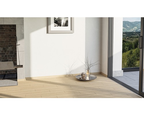 Pièce lumineuse avec plancher en bois, porte de terrasse et décoration