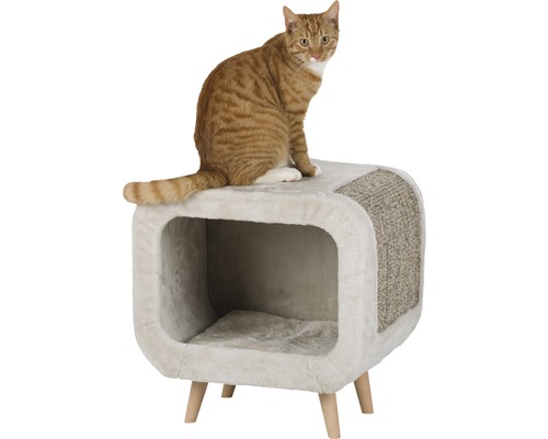 Katze auf Katzenhaus mit Kratzfläche und vier Füßen