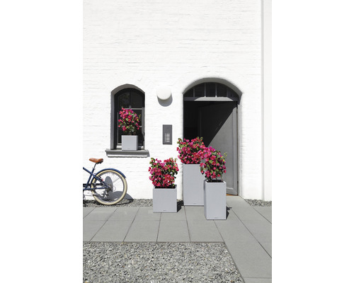 Szene mit drei grauen Pflanzgefässen mit Blumen vor einer weissen Fassade