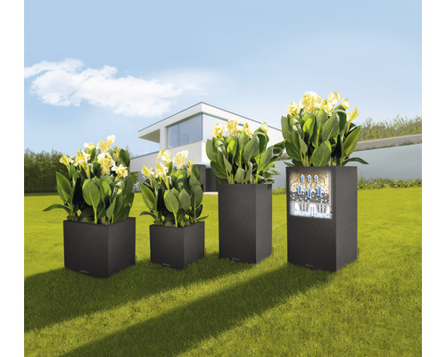 Vier quadratische Pflanzgefäße mit Pflanzen in unterschiedlichen Größen im Garten