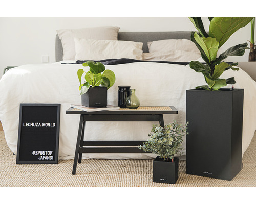 Plantes d''intérieur décoratives dans des pots de fleurs Lechuza à côté d''un lit.