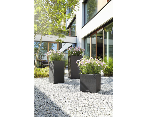 Trois bacs à fleurs avec des fleurs dans le jardin devant une maison moderne