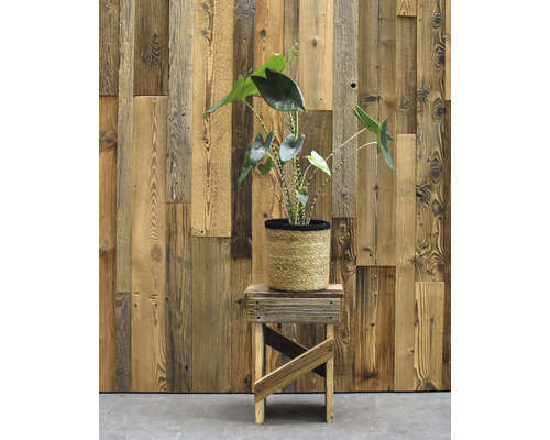 Plante d''intérieur en pot sur un petit tabouret en bois devant un mur en bois