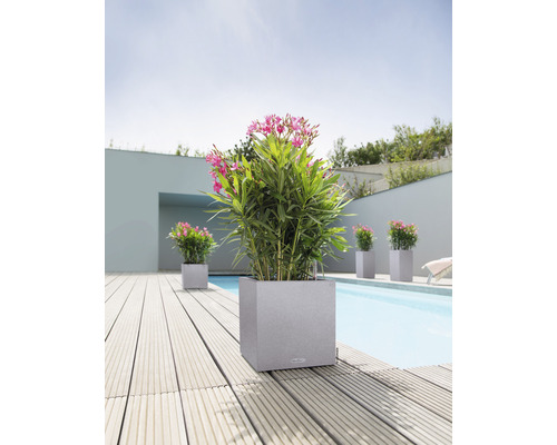 Pots à fleurs carrés avec des plantes à fleurs à côté d''une piscine sur une terrasse en bois