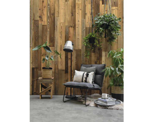 Séjour avec lambris en bois, fauteuil, lampadaire et plantes