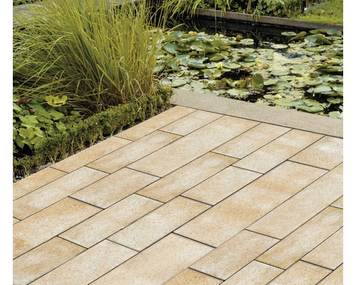 Pavés rectangulaires posés dans un jardin avec bassin