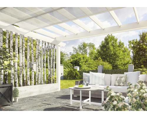 Terrasse avec pergola, troncs de bouleau servant de brise-vue et mobilier de jardin