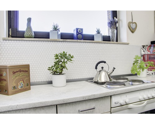 Scène de cuisine avec cuisinière électrique, théière, carrelage et plantes d''intérieur.