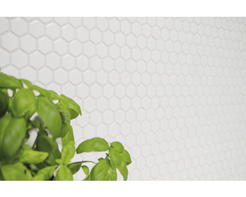 Carrelage mural en céramique hexagonale avec plant de basilic