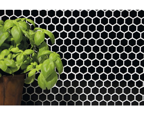 Image murale avec carreaux hexagonaux noirs et plante en pot