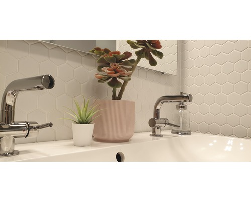 Meuble-lavabo de salle de bain avec robinetterie, plantes décoratives et carreaux muraux hexagonaux