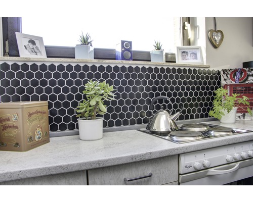 Scène de cuisine avec carrelage hexagonal, plaque de cuisson, bouilloire et plantes en pot