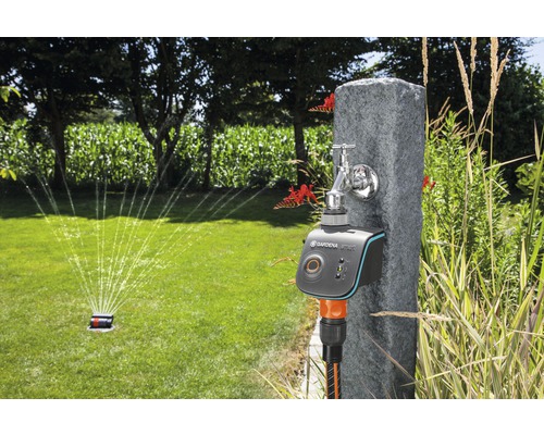 Scène de jardin avec système d''irrigation avec minuterie et arroseur