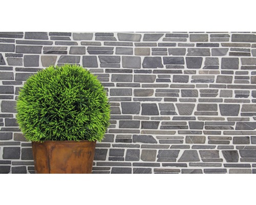 Mur en pierre décoratif avec plante en pot