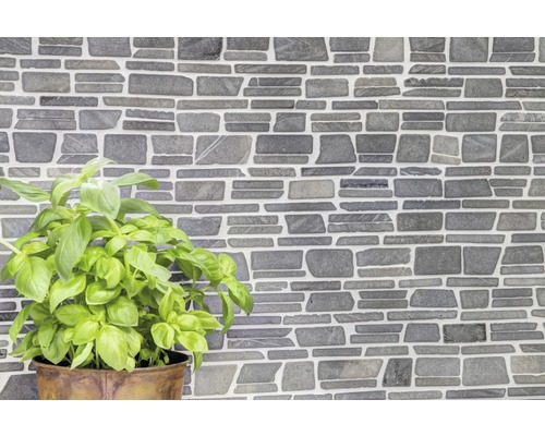 Carrelage mural aspect pierre avec plant de basilic