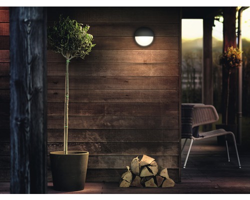 Aussenbereich mit Wandleuchte, Pflanze im Topf und Holzstapel