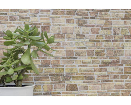 Mur de pierre décoratif avec plante en pot à l''intérieur