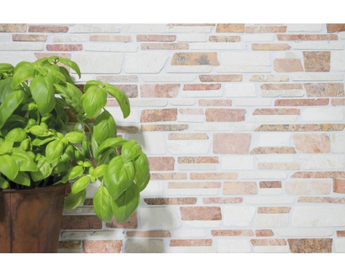 Aménagement mural avec parement en pierre et plant de basilic en pot