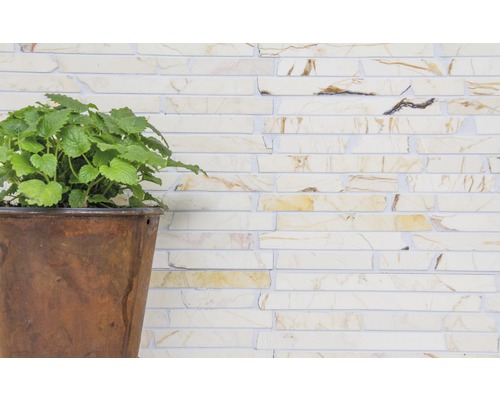 Pflanze in einem Topf vor einer Wand aus Ziegelsteinen