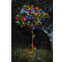 Arbre avec guirlande lumineuse multicolore dans le jardin